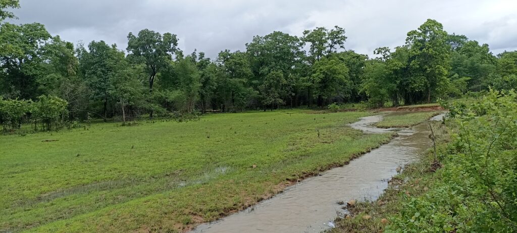 img 20220724 141458 img 20220724 141458