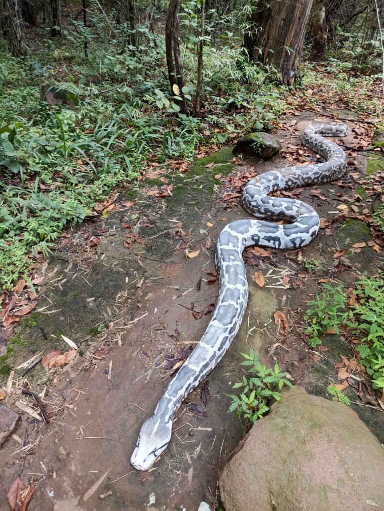 img 20220929 135825 img 20220929 135825