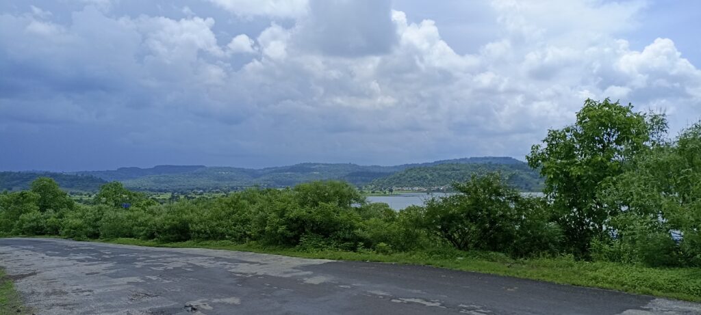 mamala forest pic mamala forest pic