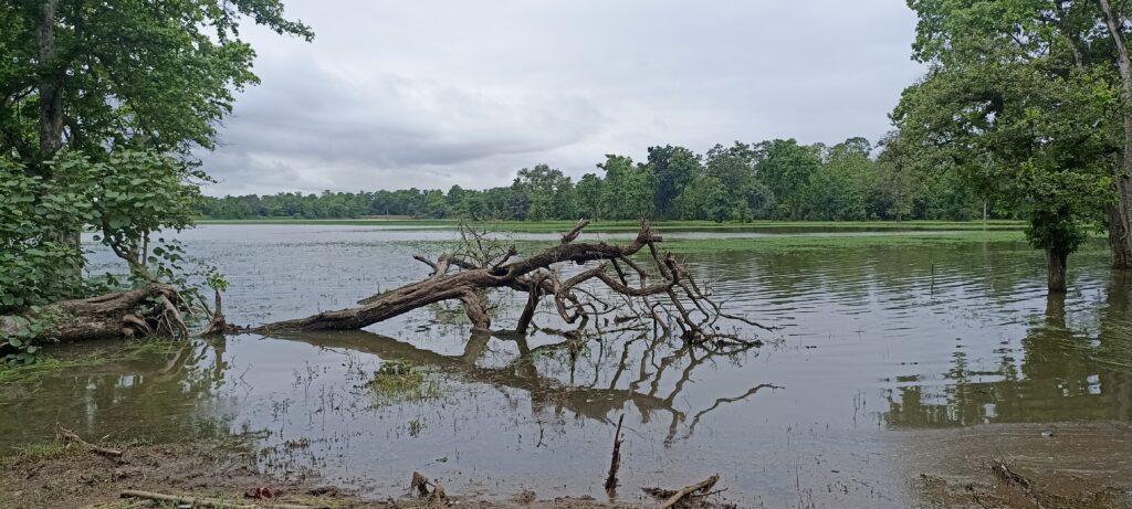 img 20220724 132643 img 20220724 132643